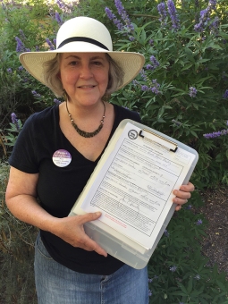 Canvassing