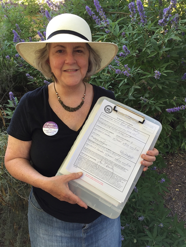 Canvassing
