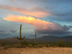 Sunset over Sabino Canyon