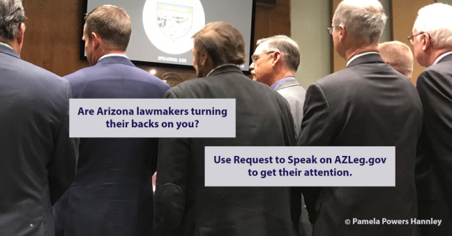 Arizona Legislature