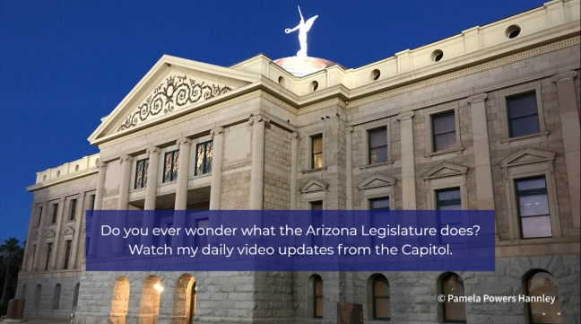Arizona Legislative Updates