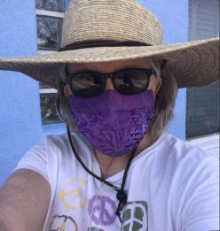 Rep. Pam Powers Hannley in facemask