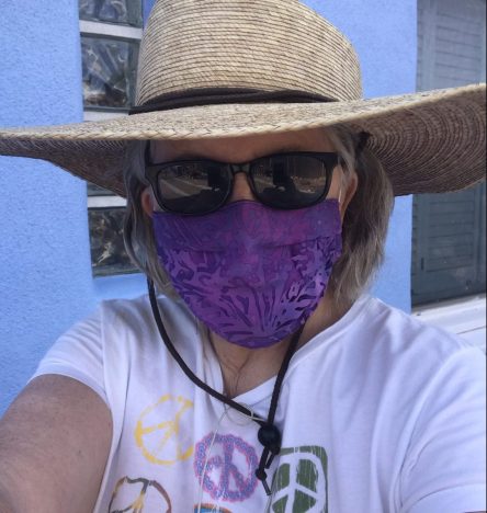 Rep. Pam Powers Hannley in facemask