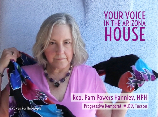 Rep. Pam Powers Hannley