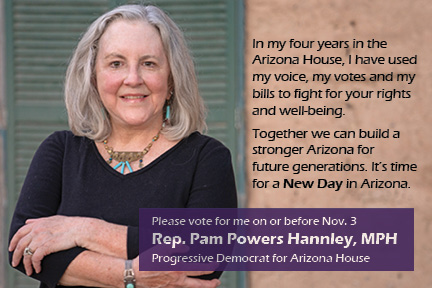 Rep. Pam Powers Hannley