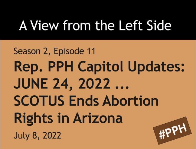 Rep. Pam Powers Hannley Podcast