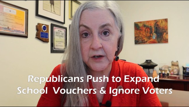 Rep. Pam Powers Hannley on school vouchers.